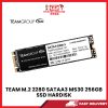 TEAM M.2 2280 SATAA3 MS30 256GB SSD HARDISK [SBN:NO NILAI:YES MELAKA:NO HPS:NO]